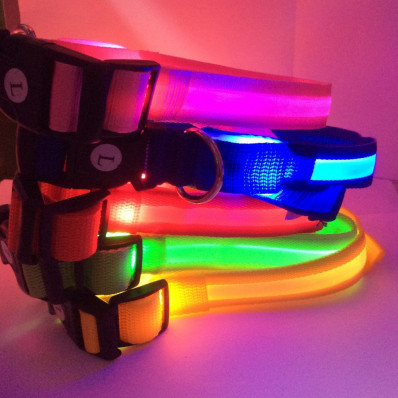 LED blinkendes Leuchthalsband für kleine Hunde Bester Preis