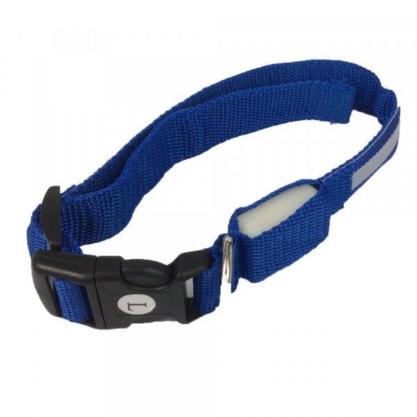 TENXSNUG Collare Luminoso per Cani Ricaricabile Type-C, LED Collare per  Cani Regolabile e Impermeabile con 3 Modalità per Cani di Taglia Piccola  Media