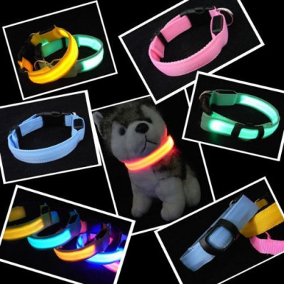 Collare luminoso lampeggiante a LED per cani di piccola taglia