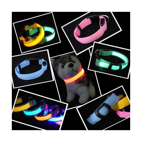 iTayga Collare Luminoso per Cani Ricaricabile Collare LED Cane Luminoso  Adapitil Collari con Luce per Cani Taglia Grande,Media,Piccola. Rendi il  tuo