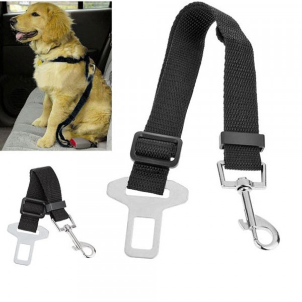 Cintura di sicurezza regolabile per cani disponibile in magazzino, Collari  per cani regolabili: comfort e stile per il tuo animale domestico