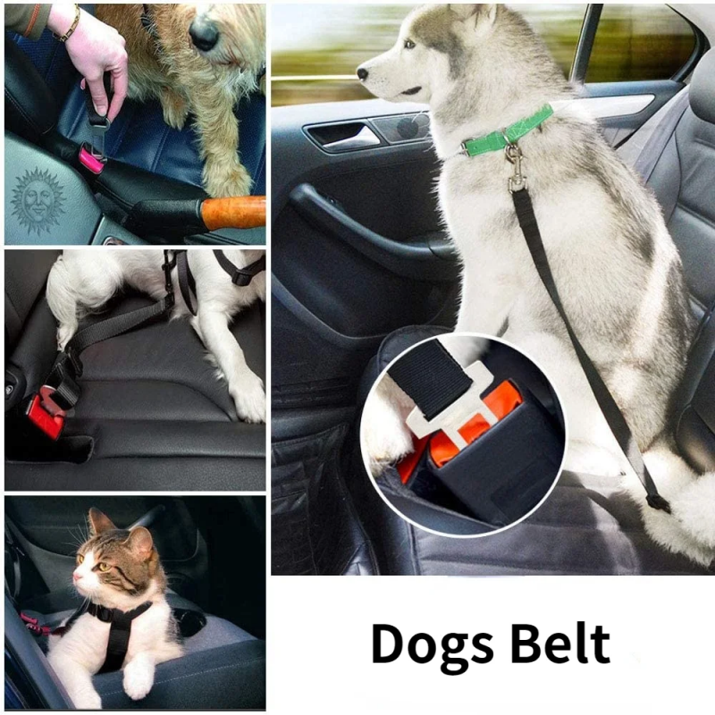 Ceinture de sécurité de voiture réglable pour chien et chat